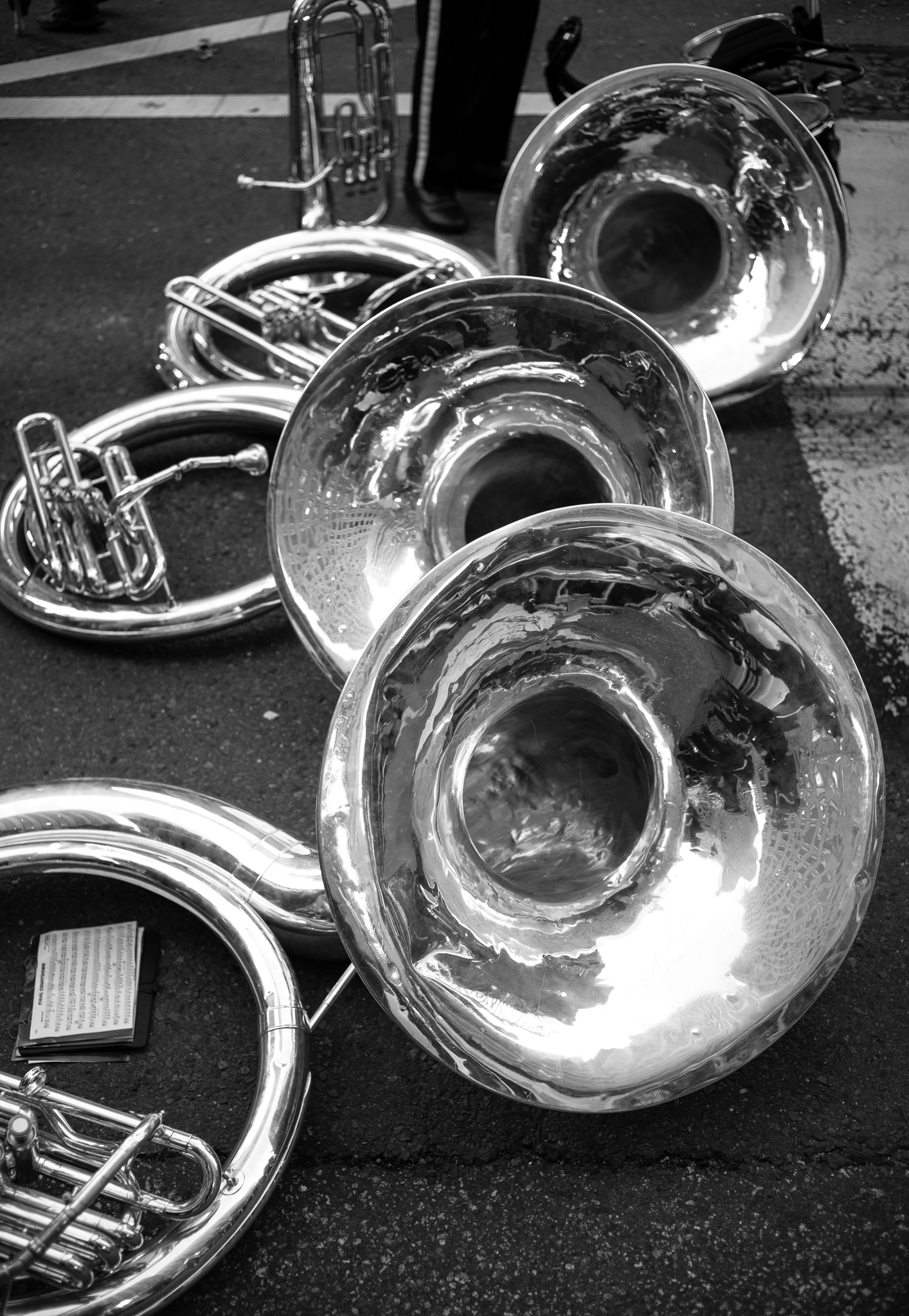 Silver Horns